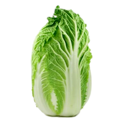 United - Chinese Cabbage Wombok ea (not postable)