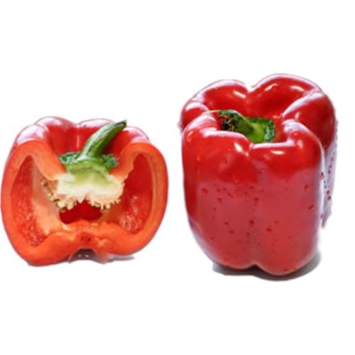United - Capsicum Red per kg (not postable)