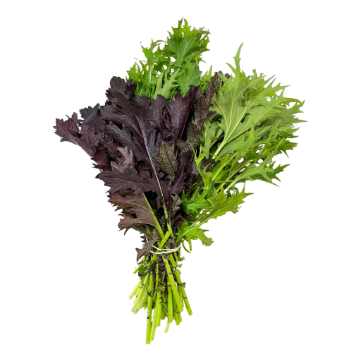 Local - Lettuce Mizuna per bch (not postable)
