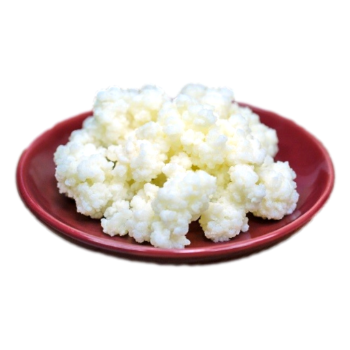 Local - Kefir Grains ea (not postable)