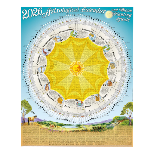 Thomas Zimmer - Astrological Calendar 2026