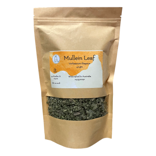 Black Bear Herbals - Wildcrafted Mullein 40gm