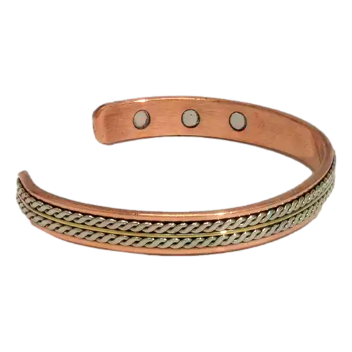 Ayurveda Specialist - Copper Health Clamp Bracelet Two Twist with 6 magnets