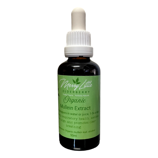 Merry Little Elderberry - Organic Mullein Extract 50ml