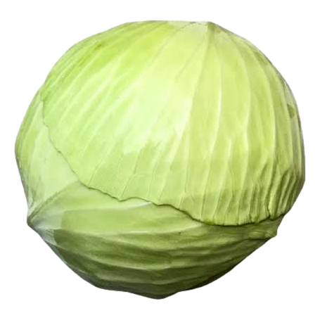 Local - Cabbage Drumhead ea (not postable)