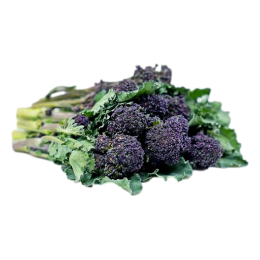 United - Broccoli Purple Baby per bch (not postable)