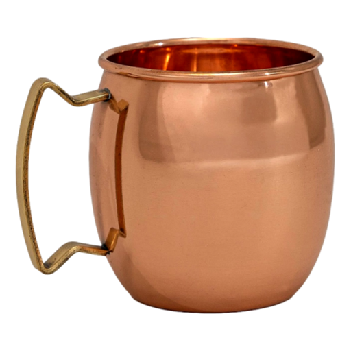 Ayruveda Specialist - Pure Copper Mug/Beer Stein with Brass Handle 450ml