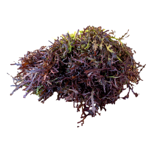 Local - Ruby Red Mustard Leaves per 100gm