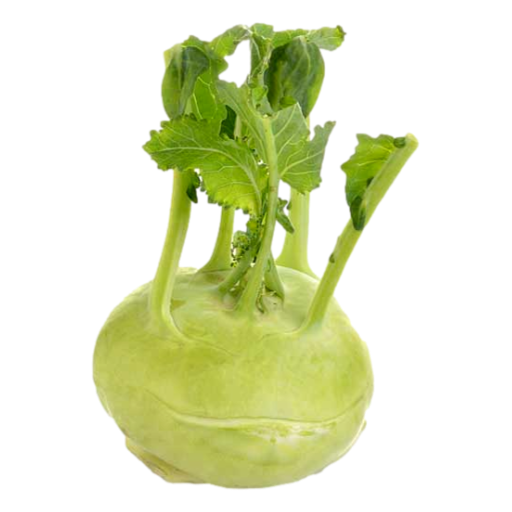 United - Kohlrabi White per kg (not postable)