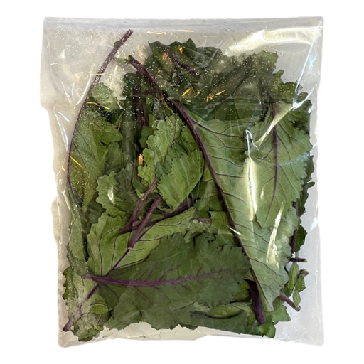 Local - Kale Red Russian 100gm (not postable)